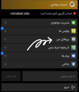پروفایل من سایت رومابت